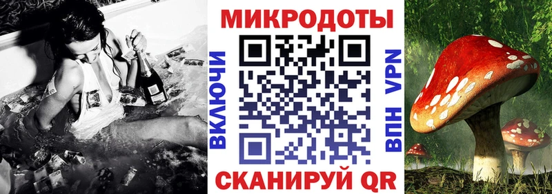 Галлюциногенные грибы MAGIC MUSHROOMS  где можно купить наркотик  Сызрань 